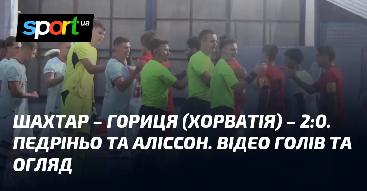 Футболісти «Шахтаря» під час контрольного матчу з хорватською «Горицею»